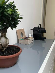 Casa Oberdan - private parking