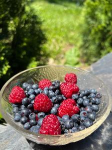 Mountain Villa Udovicic