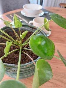 Geniet van alle comfort tussen Ieper en Heuvelland