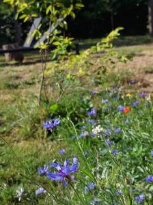 Geniet van alle comfort tussen Ieper en Heuvelland