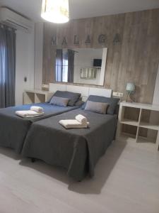 Apartamento E&R Málaga Centro- Parking gratis