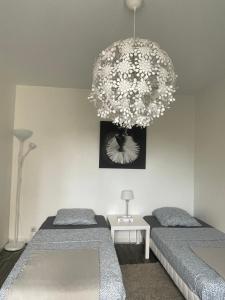 Appartements Studio 5 Near Basel Airport : photos des chambres