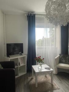 Appartements Studio 5 Near Basel Airport : photos des chambres