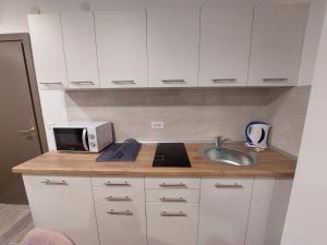 KATARINA - Lux two bedroom apartment in ski resort Kopaonik