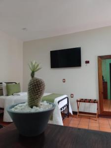 Casa de las flores Hotel Boutique