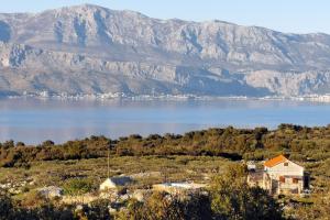 Family friendly house with a swimming pool Skrip, Brac - 15297