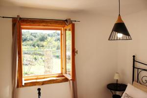 Family friendly house with a swimming pool Skrip, Brac - 15297