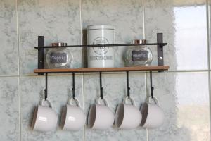 Family friendly house with a swimming pool Skrip, Brac - 15297