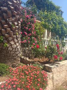 Apartments by the sea Maslinica, Solta - 15312