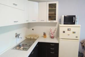 Apartments with WiFi Rijeka - 15333