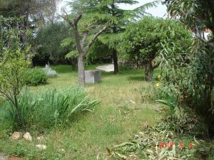 Apartment Punat 15259b