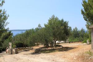 Seaside secluded apartments Zavala Hvar 15357