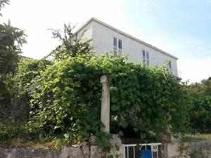 Apartments by the sea Hvar - 15401