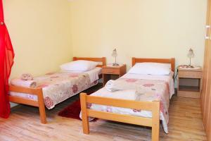 Apartments with WiFi Zlarin - 15409