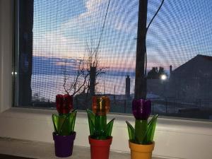 Apartments with parking space Drasnice, Makarska - 15492