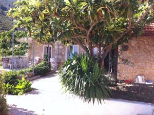 Apartments with a parking space Ivan Dolac, Hvar - 15483