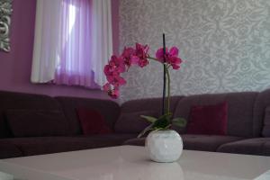 Family friendly house with a swimming pool Solin, Split - 15525