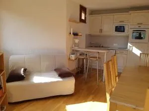 Les Deux Alpes - Appartement 2 pièces, 6 personnes, 42m², au pied des pistes avec garage privatif - FR-1-516-182 - 莱德萨阿尔卑斯