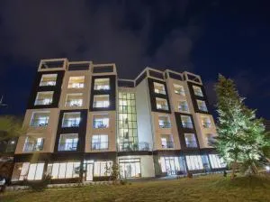 Fellisia Hotel - Hogŭn-ni