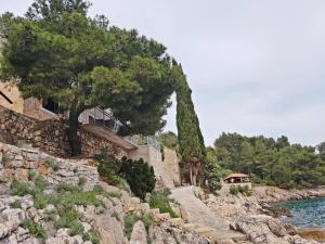 Seaside secluded apartments Cove Lucica, Hvar - 15546