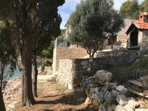 Secluded fishermans cottage Cove Lucica, Hvar - 15546