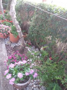 Apartments with a parking space Biograd na Moru, Biograd - 15651 