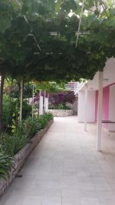 Apartment Hvar 15706c