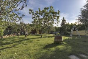 Apartments with a parking space Valbandon, Fazana - 15726