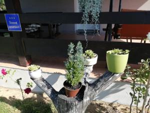 Apartments with a parking space Ostarski Stanovi, Plitvice - 16071