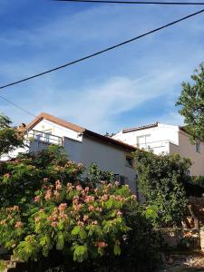 Studio Baric Draga 16148b 