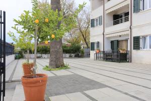 Apartments by the sea Trogir - 16211