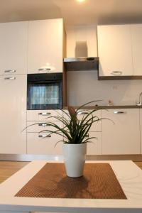 Apartments with parking space Podaca, Makarska - 15475