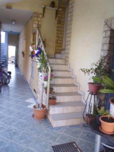 Apartments by the sea Nin, Zadar - 15842 