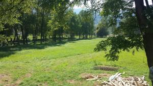 Apartments with a parking space Covici, Velebit - 15864