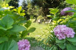 Apartments with WiFi Zagreb - 15509 