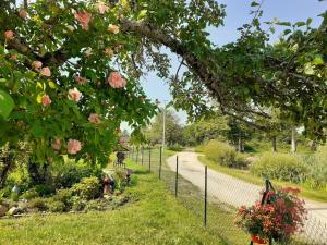 Coin de nature en Puisaye