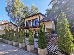Superior Chalet room in Paula Spa