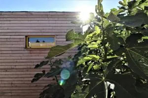 Jevi Jevišovka - Jevišovka