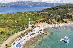 Family friendly apartments with a swimming pool Lumbarda, Korcula - 18727