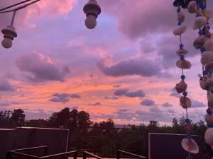 Wonderland - 查克维 Wonderland - 查克维