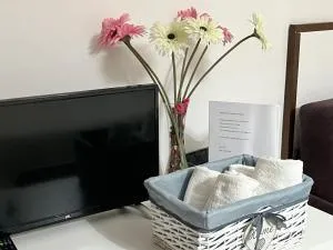 Le Comete di Angelo - Orti