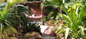 Finca Botanico Garden Apartment, Guatiza