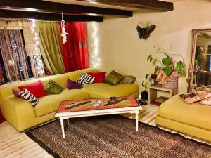 Pet friendly Charming house with garden