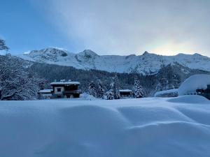 CHALET LES DOMES DE MIAGE