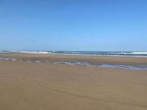 APPARTEMENT BORDURE PLAGE