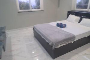 RK island view apartment