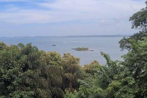 RK island view apartment