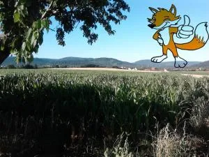 Apartment 1 Langelsheim Harz - Hahausen