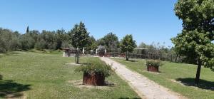 Villa Poggio le Vignacce