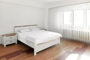 BTA Apartment Manastur